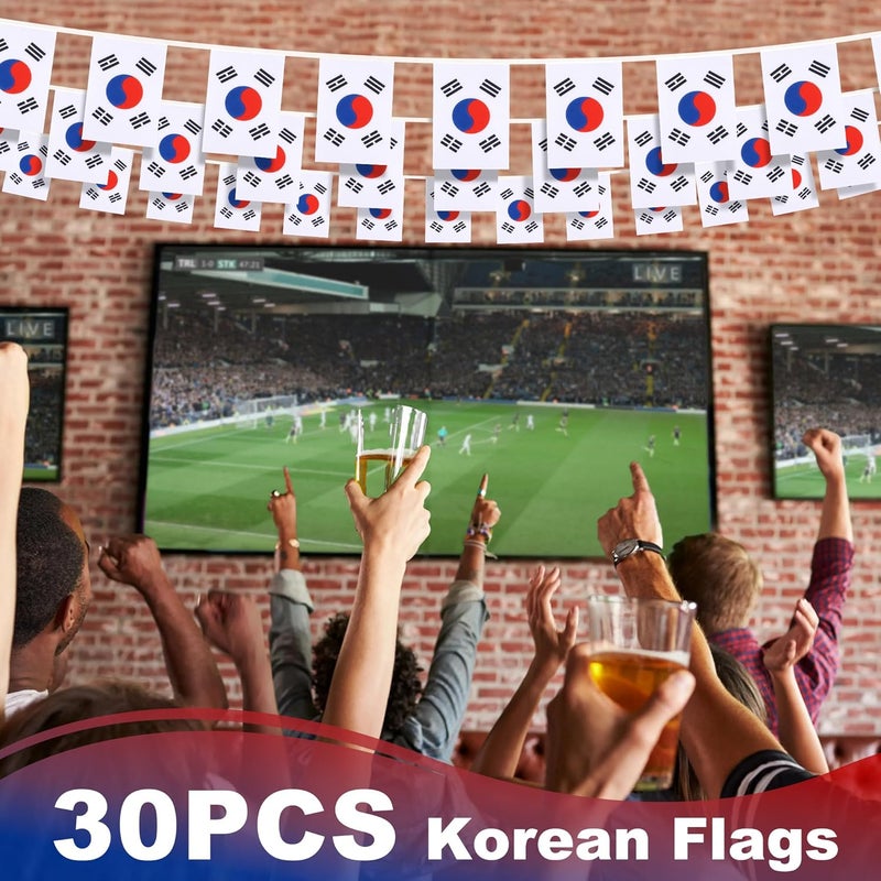 MVPRING Korea String Flag Pennant Banner, Small Mini Korean Flags Bunting Banner, National Country Decoration for School, Party, Sports Events, 33 Feet 30 Flags - Image 5